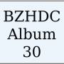 bzhdc_album_30.jpg